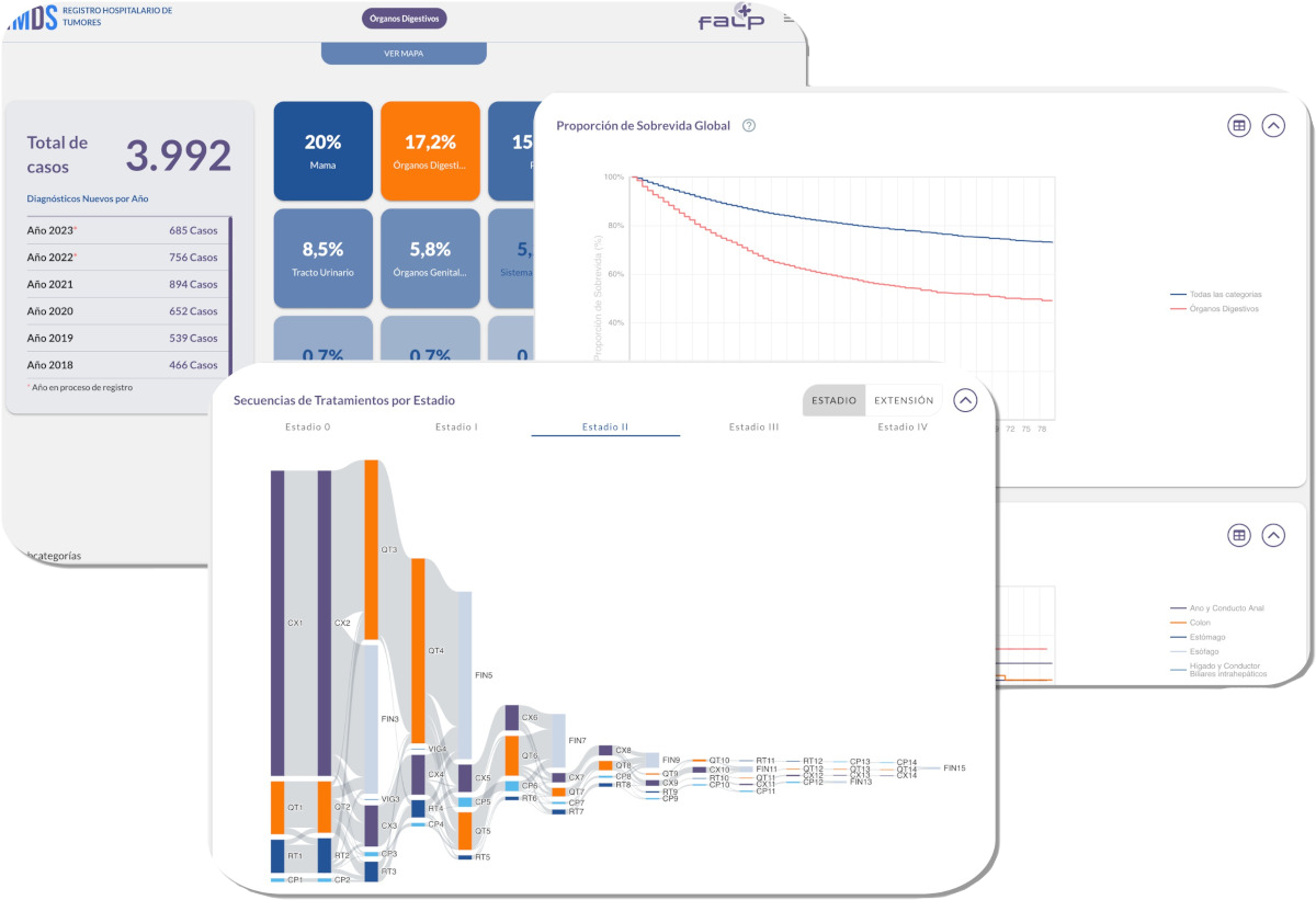 Registro Hospitalario de Tumores